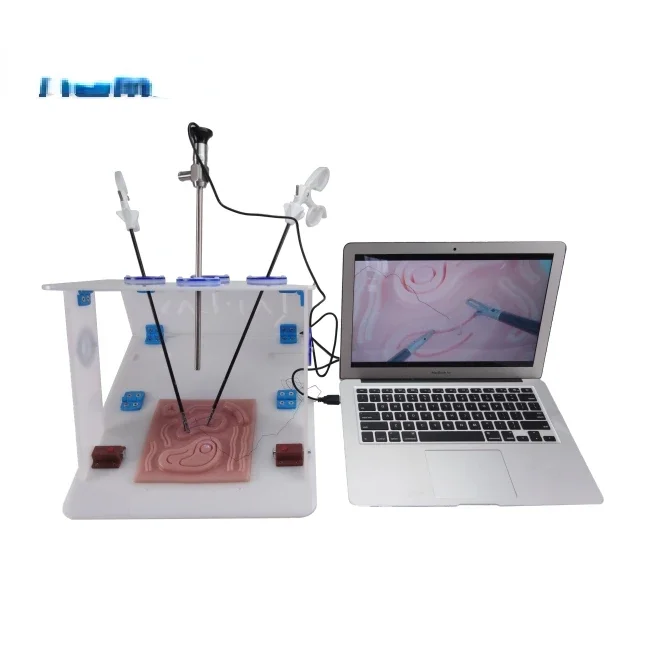 Laparoscopic Endo Trainer with - đánh giá và giá Woodworking Simulator