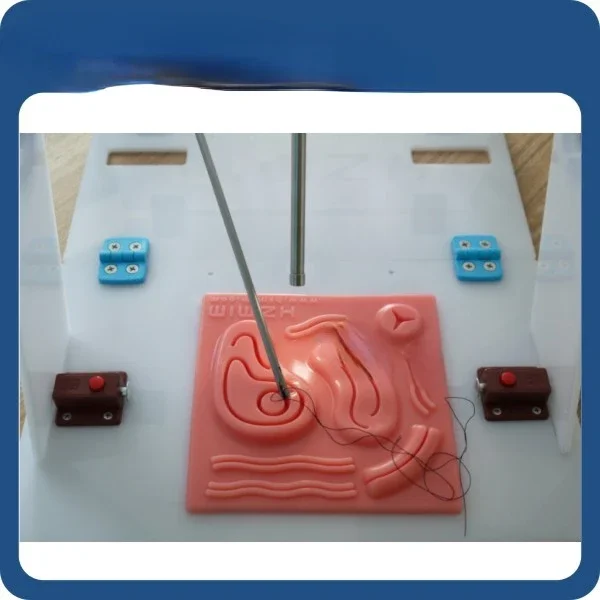 Laparoscopic Endo Trainer with - đánh giá và giá Woodworking Simulator